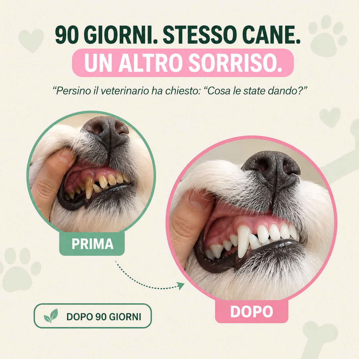 BLNK DentaCare™ - Aiuta a ridurre placca e tartaro per un alito più fresco