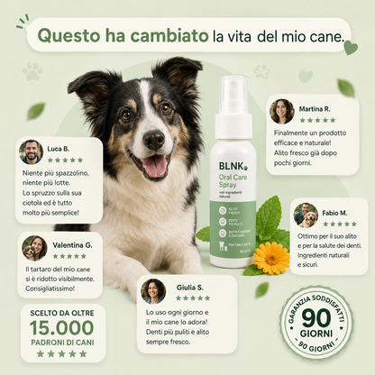 BLNK DentaCare™ - Aiuta a ridurre placca e tartaro per un alito più fresco